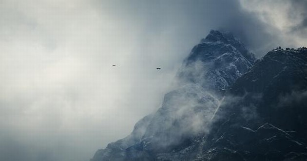 上海起名大师