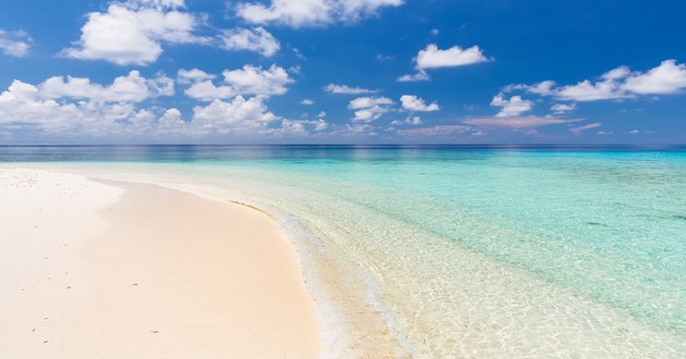 上海风水大师
