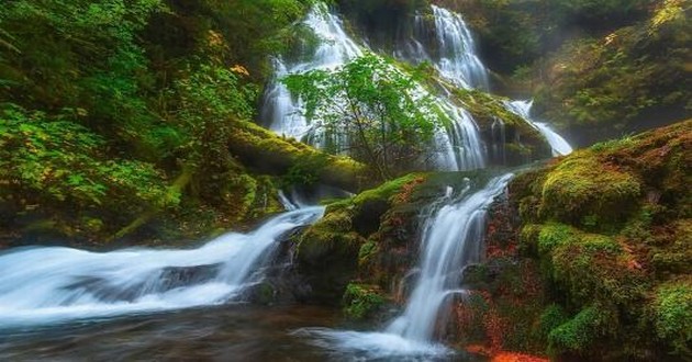 上海风水大师
