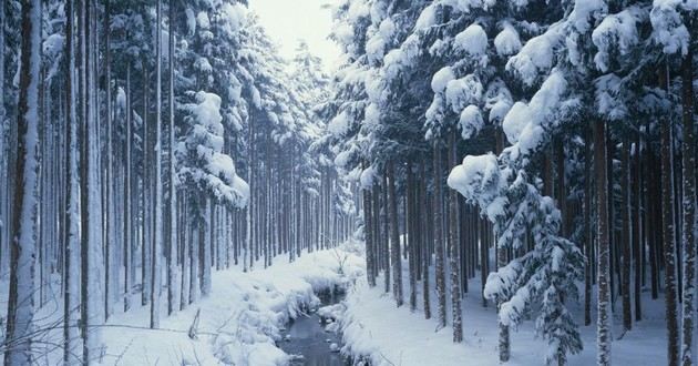 上海风水大师