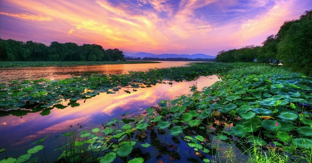 上海风水大师