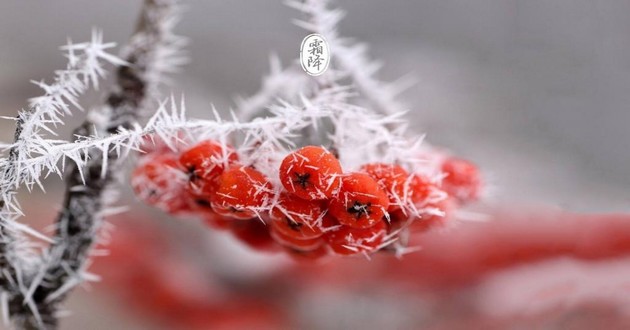 上海风水大师