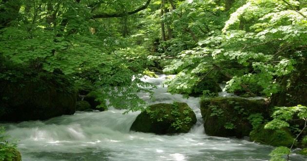 上海风水大师