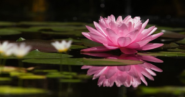 上海风水大师