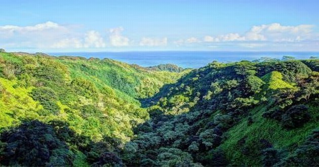 上海风水大师