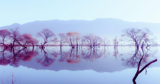 上海风水大师