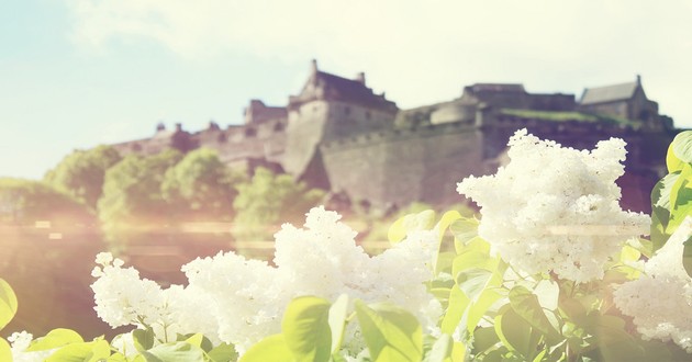 中国算命大师