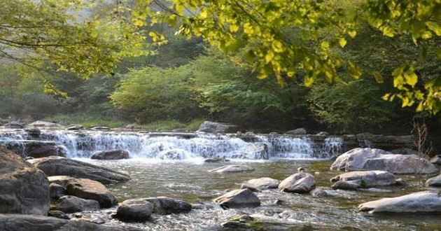 上海风水大师