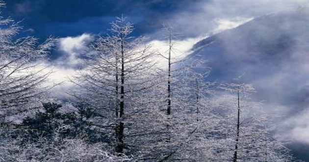 上海风水大师