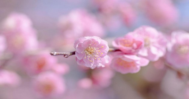 上海风水大师