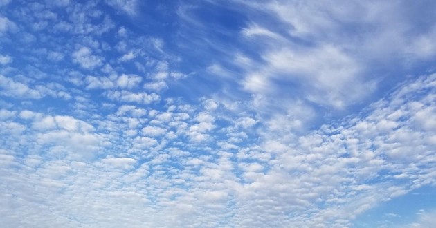 上海风水大师