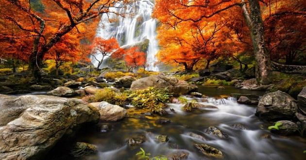 上海风水大师