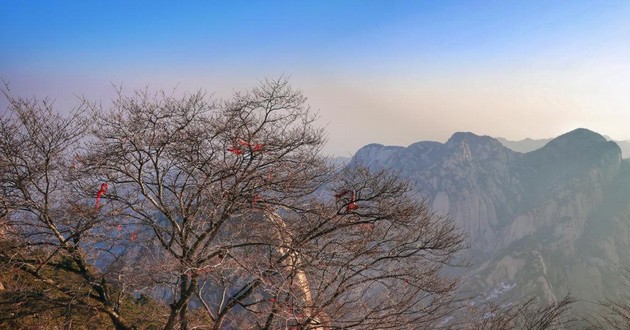 上海风水大师