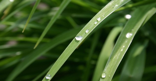上海风水大师