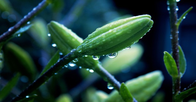 上海风水大师