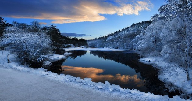 上海风水大师