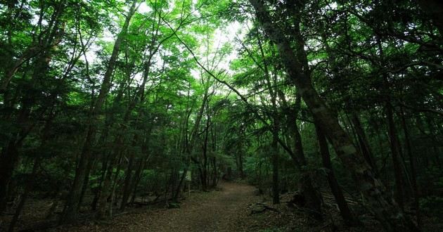 上海风水大师