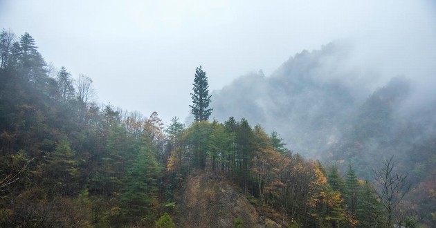 上海风水大师
