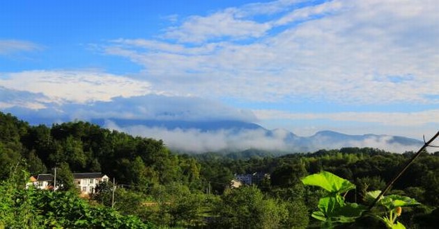 上海风水大师